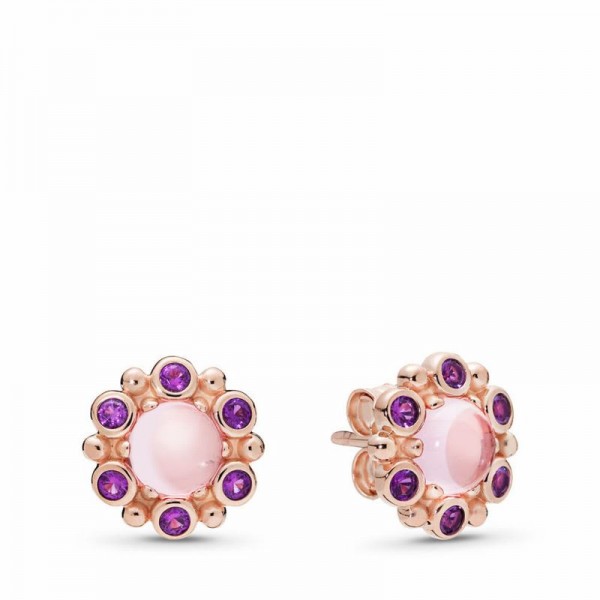 Pandora Jewelry Rose™ Heraldic Radiance Earrings Sale